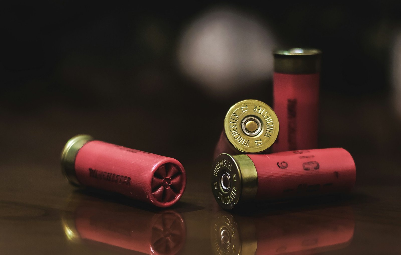 red and gold shotgun shells