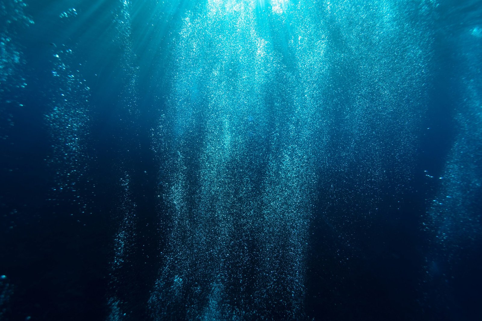 photography of blue water